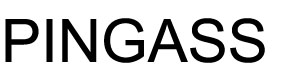 PINGASS